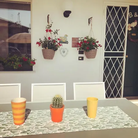 Cinciarella *